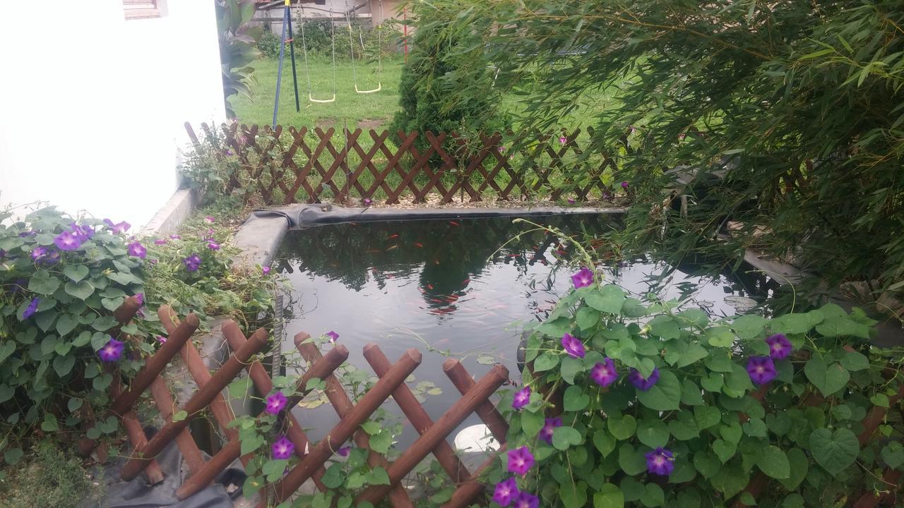 Rakoczi Vendeghaz Apartment Poroszlo Bagian luar foto