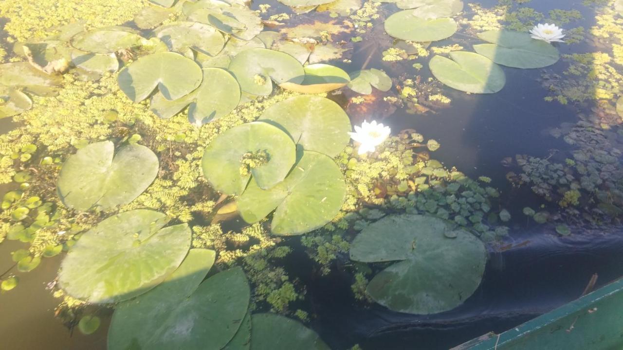 Rakoczi Vendeghaz Apartment Poroszlo Bagian luar foto